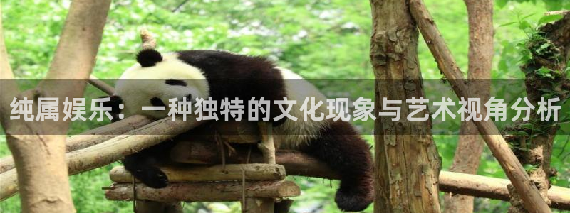 壹号平台下载安装官网：纯属娱乐：一种独特的文化现象与艺术视角分析