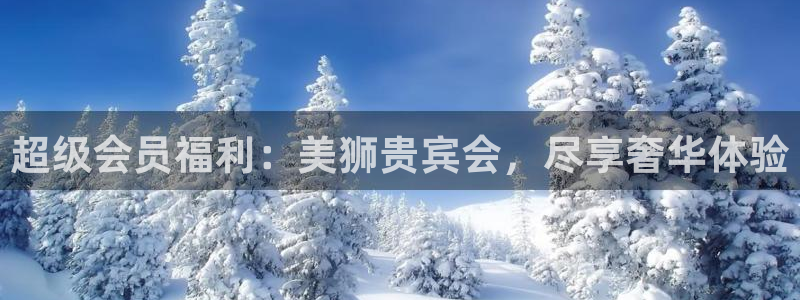 壹号官网app下载安装：超级会员福利：美狮贵宾会，尽享奢华体验