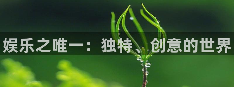 卧龙娱乐app下载官网：娱乐之唯一：独特、创意的世界