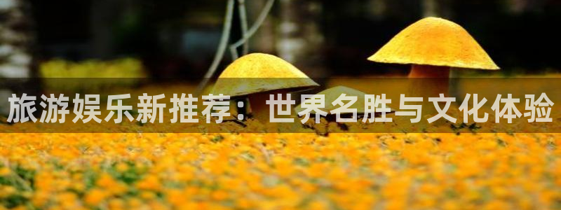 卧龙娱乐app：旅游娱乐新推荐：世界名胜与文化体验