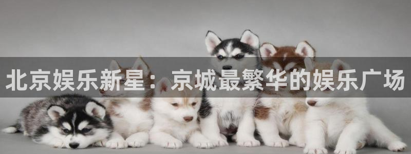 卧龙娱乐充值怎么退款：北京娱乐新星：京城最繁华的娱乐广场