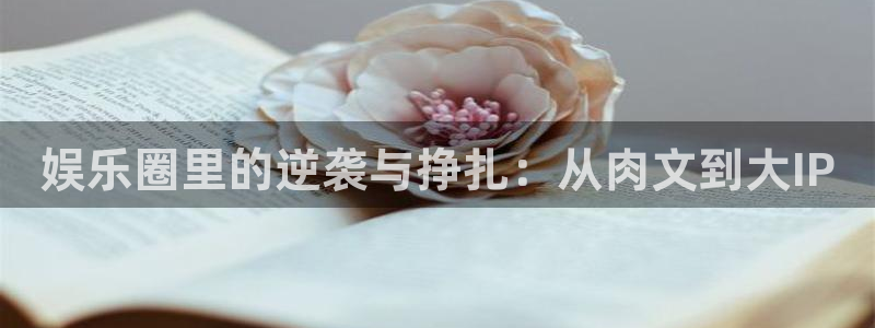 卧龙娱乐app：娱乐圈里的逆袭与挣扎：从肉文到大IP
