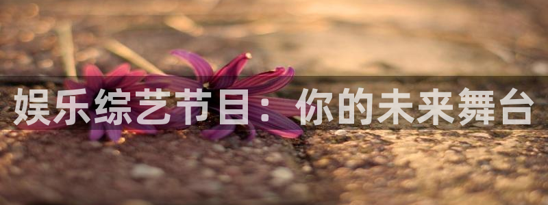 壹号平台娱乐：娱乐综艺节目：你的未来舞台