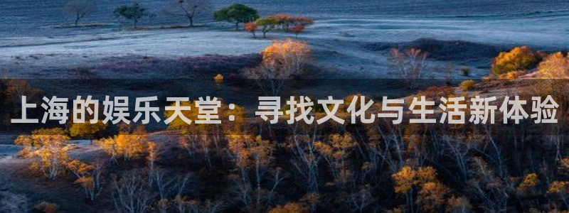壹号大舞台怎么下载：上海的娱乐天堂：寻找文化与生活新体验