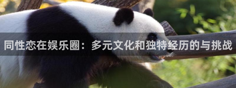 卧龙娱乐官网下载：同性恋在娱乐圈：多元文化和独特经历的与挑战