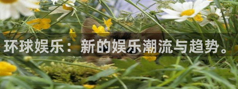 壹号大舞台网站：环球娱乐：新的娱乐潮流与趋势。