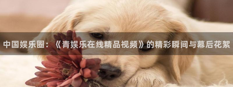 卧龙娱乐,apk.1：中国娱乐圈：《青娱乐在线精品视频》的精彩瞬间与幕后花絮