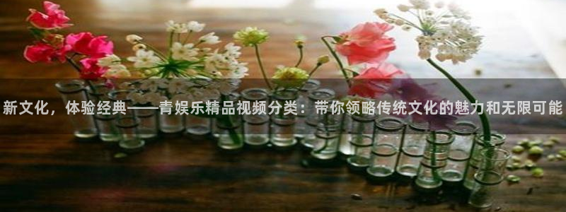 卧龙娱乐电子游戏官网：新文化，体验经典——青娱乐精品视频分类：带你领略传统文化的魅力和无限可能