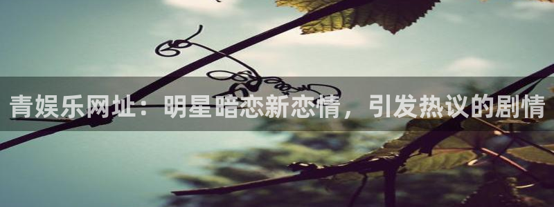 卧龙娱乐平台app下载安装：青娱乐网址：明星暗恋新恋情，引发热议的剧情