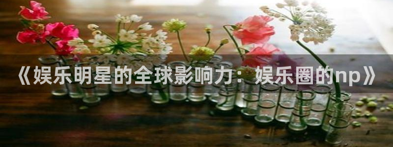 壹号官方app下载安装：《娱乐明星的全球影响力：娱乐圈的np》