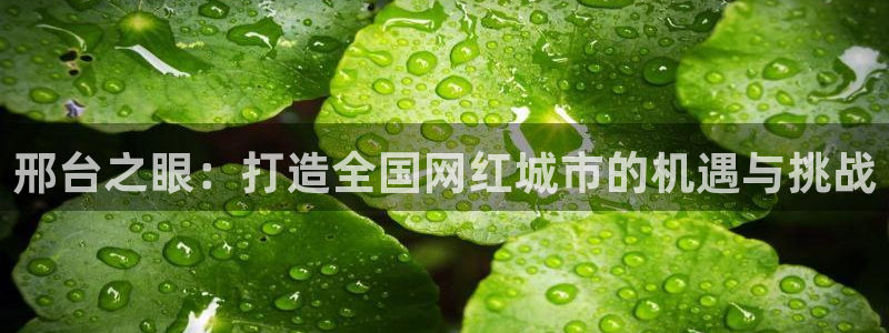 卧龙娱乐电子游戏官网：邢台之眼：打造全国网红城市的机遇与挑战