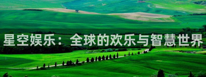 卧龙娱乐强制退款流程详解：星空娱乐：全球的欢乐与智慧世界