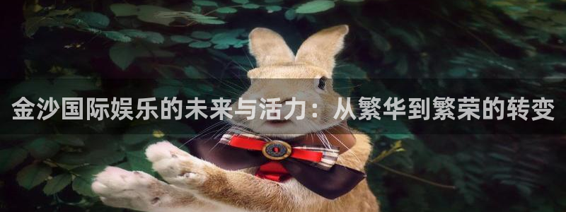 卧龙娱乐app官网下载苹果：金沙国际娱乐的未来与活力：从繁华到繁荣的转变