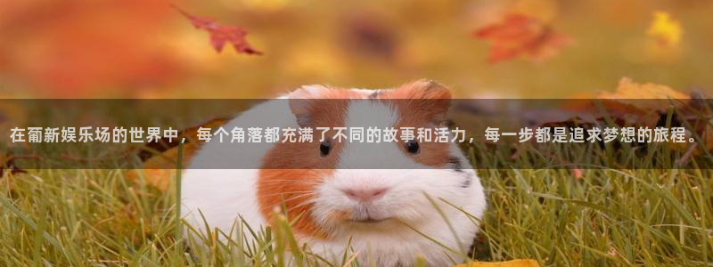 卧龙娱乐app网页入口：在葡新娱乐场的世界中，每个角落都充满了不同的故事和活力，每一步都是追求梦想的旅程。