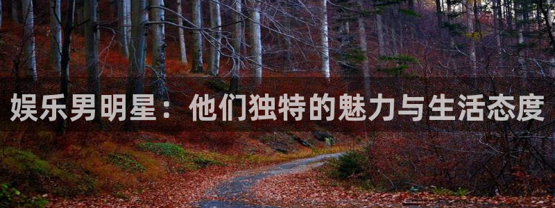 壹号电子娱乐app下载最新版本：娱乐男明星：他们独特的魅力与生活态度