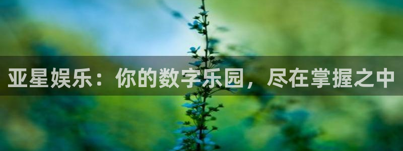 壹号app下载苹果：亚星娱乐：你的数字乐园，尽在掌握之中