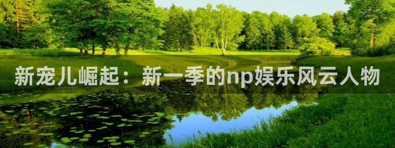 壹号平台下载：新宠儿崛起：新一季的np娱乐风云人物