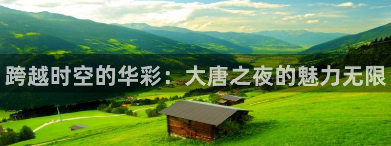 壹号平台下载：跨越时空的华彩：大唐之夜的魅力无限