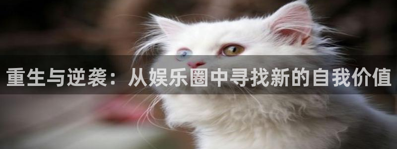 壹号电子娱乐app下载安装最新版本：重生与逆袭：从娱乐圈中寻找新的自我价值