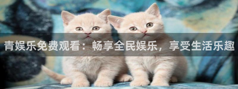 壹号app下载苹果：青娱乐免费观看：畅享全民娱乐，享受生活乐趣