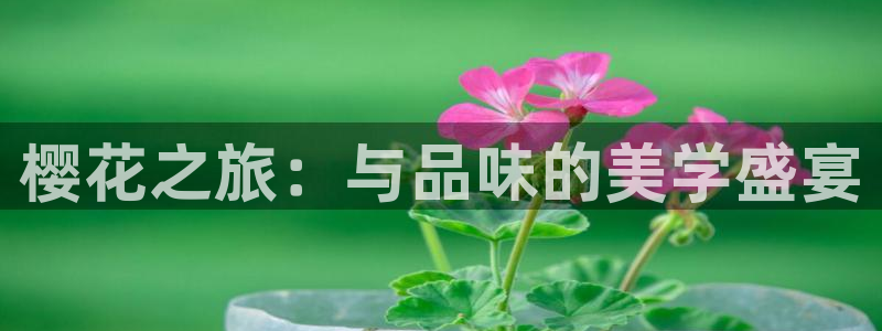 壹号app下载苹果：樱花之旅：与品味的美学盛宴