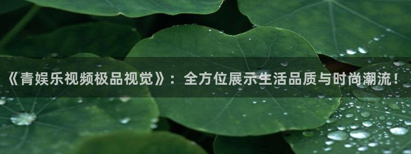 壹号大舞台怎么注册：《青娱乐视频极品视觉》：全方位展示生活品质与时尚潮流！