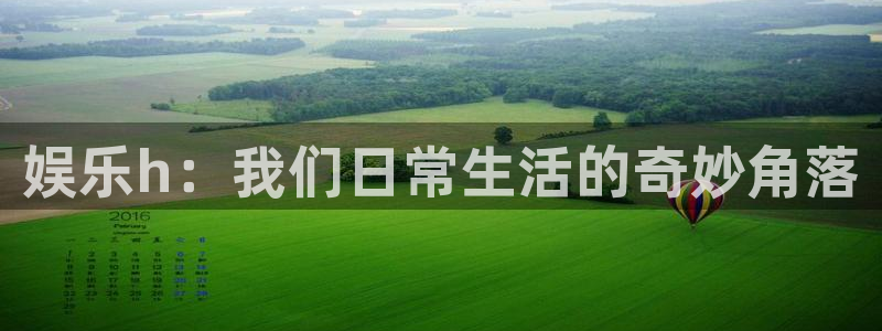 壹号电子娱乐app下载安装最新版本：娱乐h：我们日常生活的奇妙角落