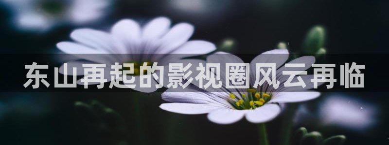 壹号电子娱乐app下载官网：东山再起的影视圈风云再临
