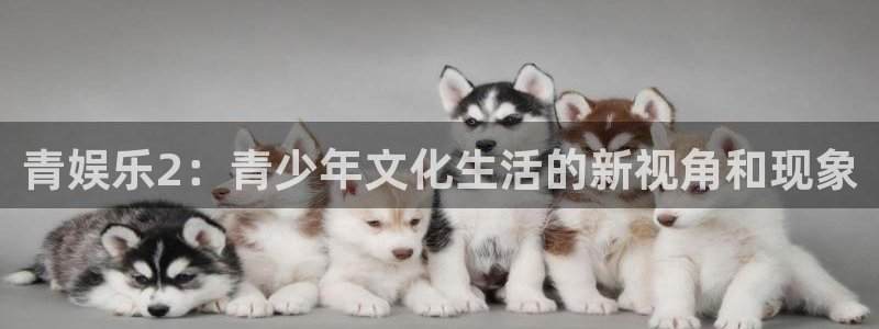 壹号官方app下载安装：青娱乐2：青少年文化生活的新视角和现象